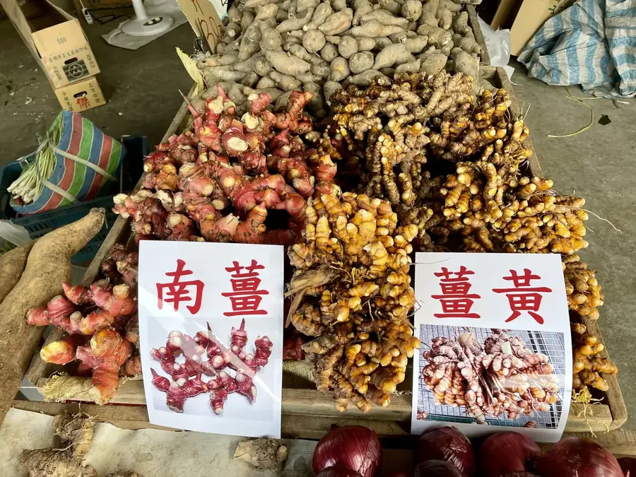 南薑與薑黃