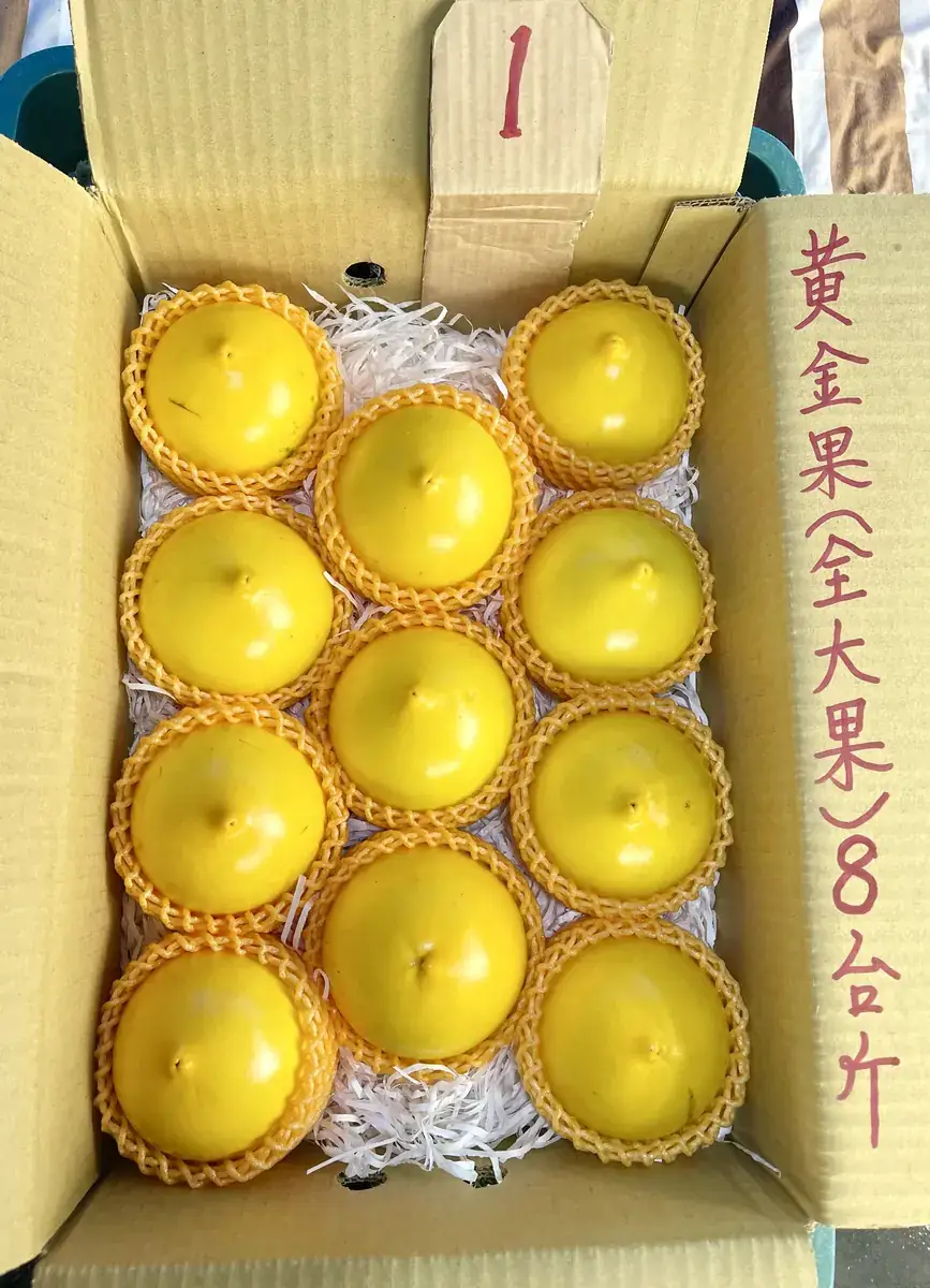 黃金果