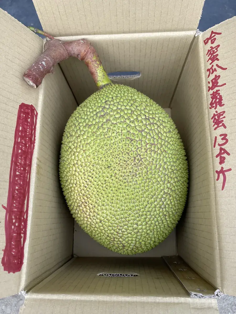 波羅蜜金黃色果肉