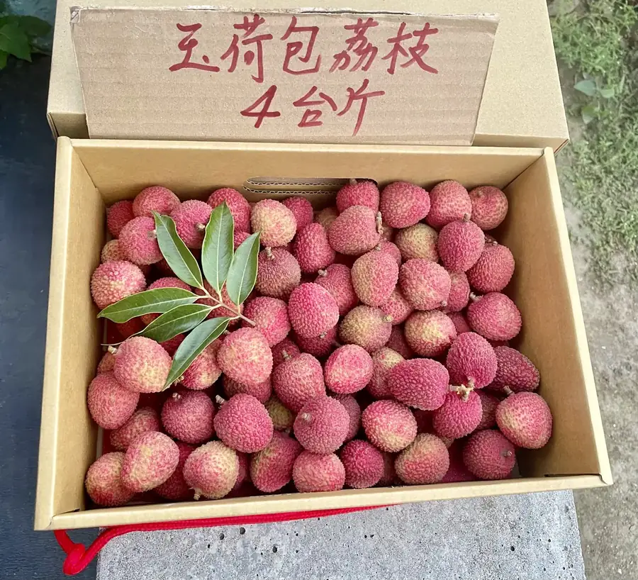 玉荷包荔枝