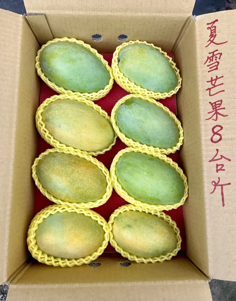 芒果