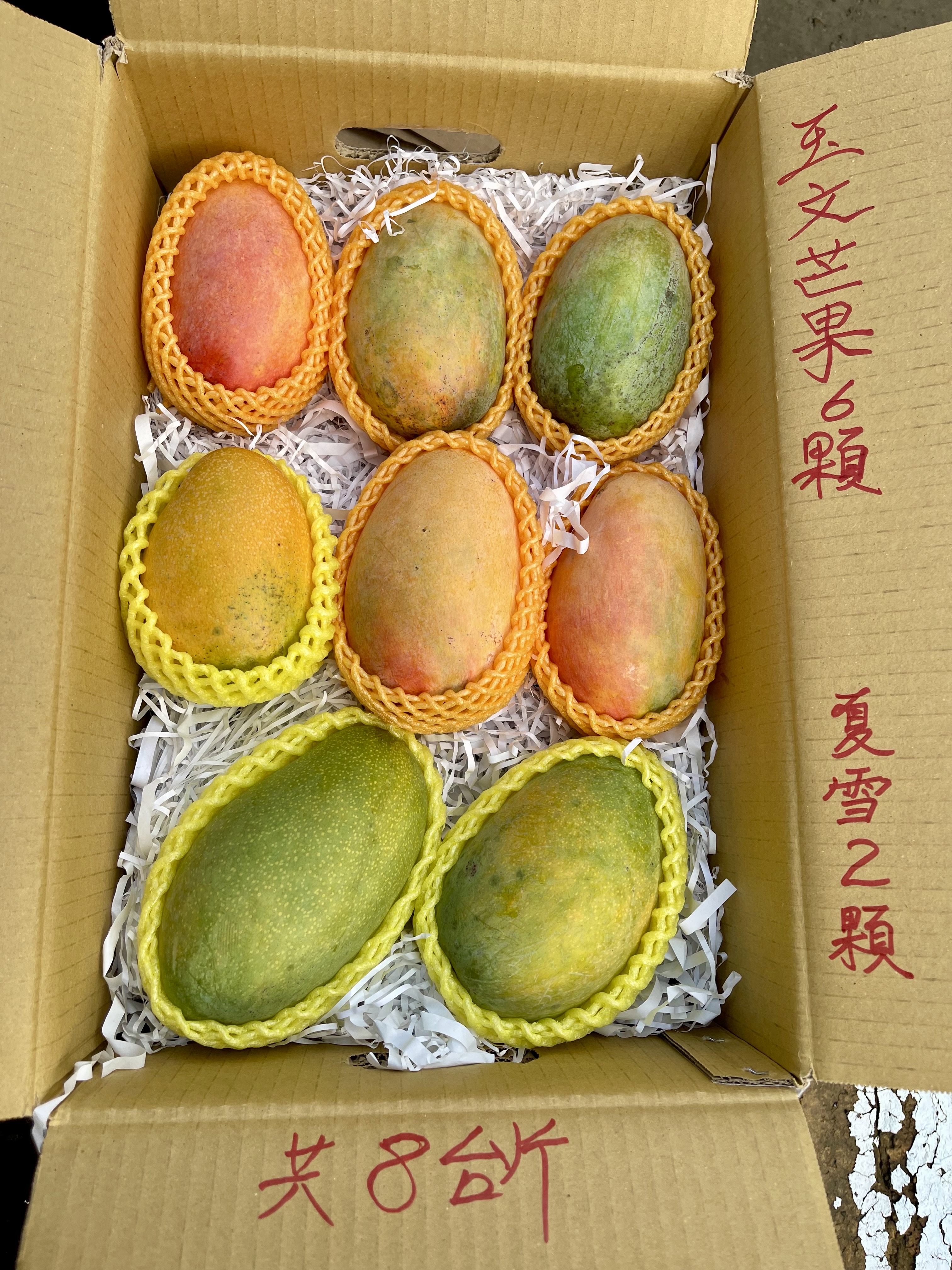芒果開始預購