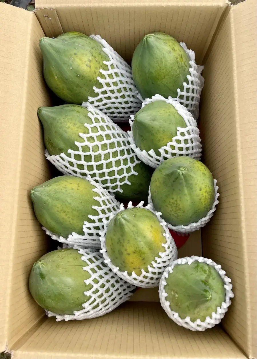 木瓜